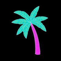 Miami Palm Tree Thumbnail